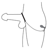 Rover Silicone Cock Ring and Prostate Plug