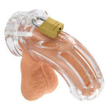 https://www.sextoydistributing.com/Merchant2/graphics/00000001/cb300-the-curve-male-chastity.jpg
