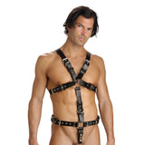 https://www.sextoydistributing.com/Merchant2/graphics/00000001/ph106-body-harness-cock-ring-model-front.jpg