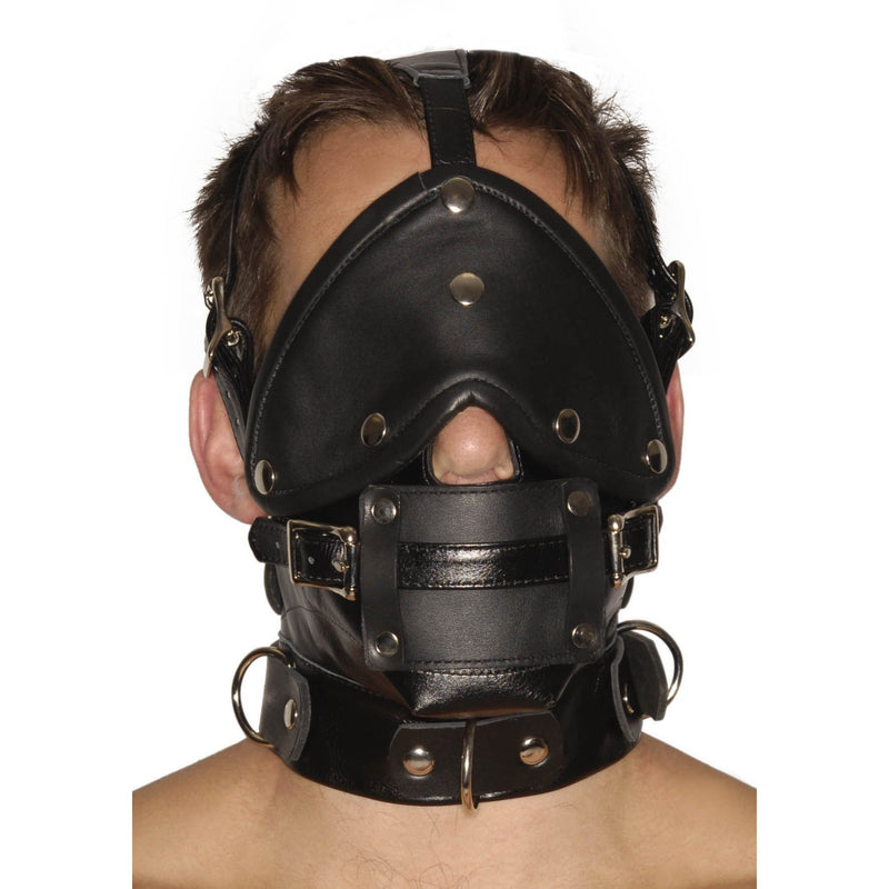 https://www.sextoydistributing.com/Merchant2/graphics/00000001/ab471-muzzle-blindfold-gag-mask-front.jpg