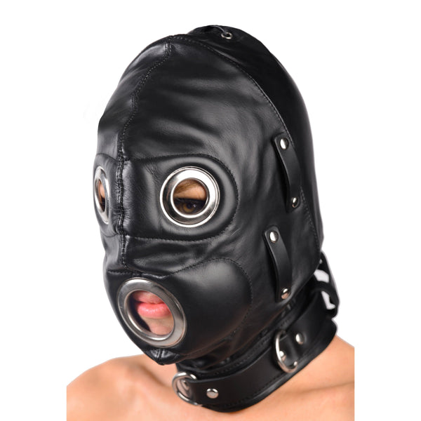 https://www.sextoydistributing.com/Merchant2/graphics/00000001/ab810-hood-main_2.jpg