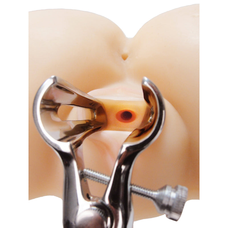 Realistic Pussy and Ass