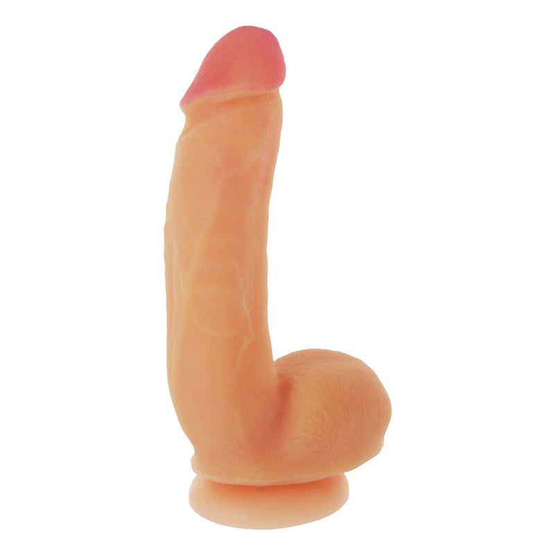 https://www.sextoydistributing.com/Merchant2/graphics/00000001/ac425-juicy-justin-dildo-bulk-vert-original.jpg