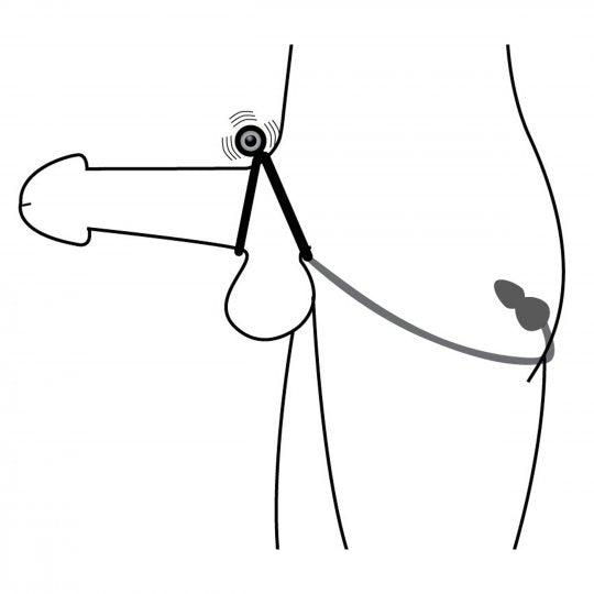 Voyager 1 Vibrating Cock Ring and Anal Plug
