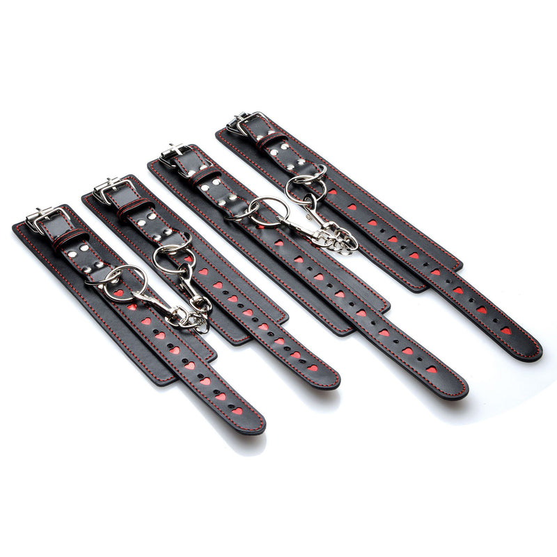 Heart Ache 5 Piece Heart Accented Bondage Set