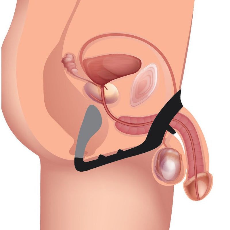Excursion Silicone Triple Stim Anal Plug with Cock and Ball Ring
