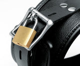 Isabella Sinclaire Leather Posture Collar with Leash