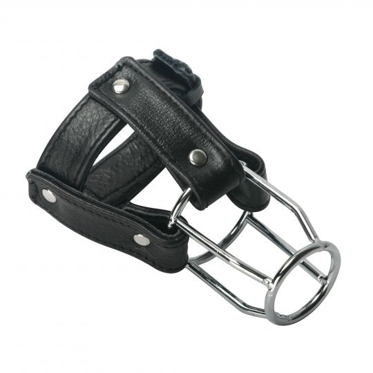 Strict Leather Stallion Guard