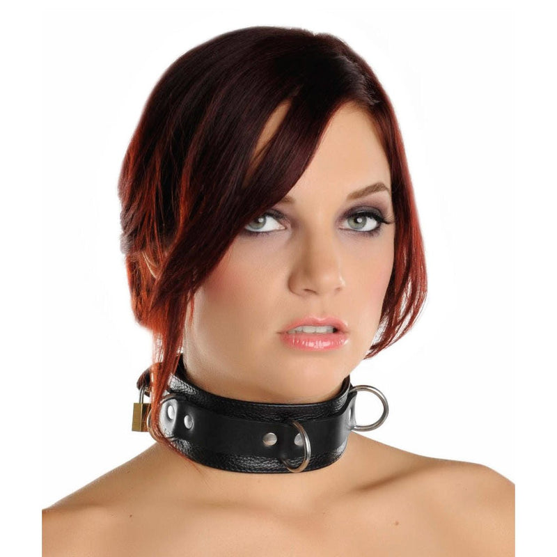 https://www.sextoydistributing.com/Merchant2/graphics/00000001/sv520-collar-model.jpg