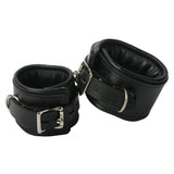 https://www.sextoydistributing.com/Merchant2/graphics/00000001/vf230-wrist-padded-locking-restraints.jpg